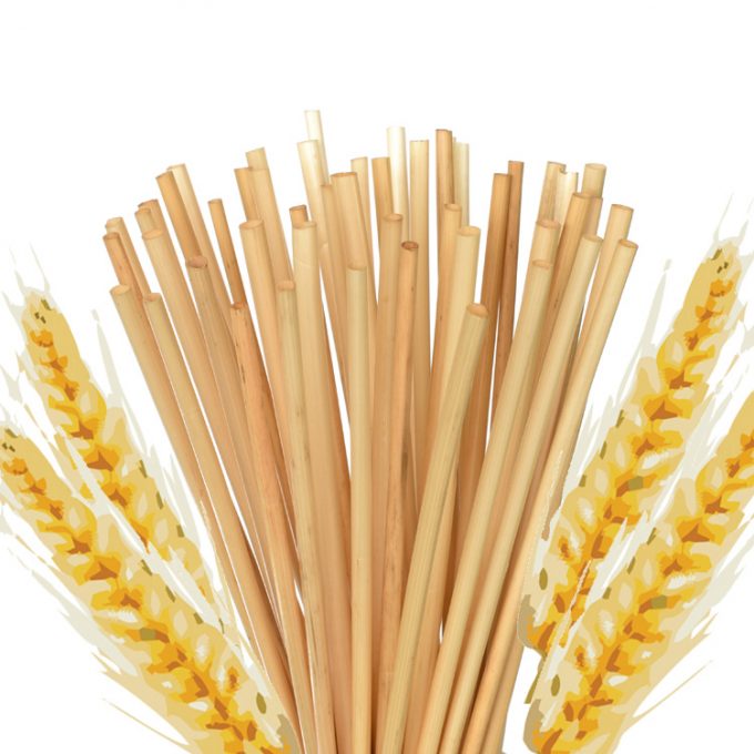Wheat Straw